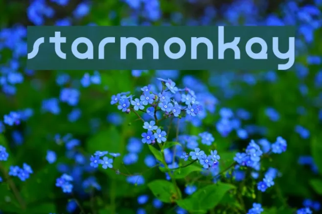 starmonkey Example 1