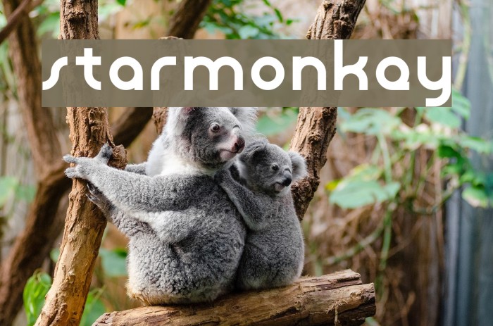 starmonkey Font examples