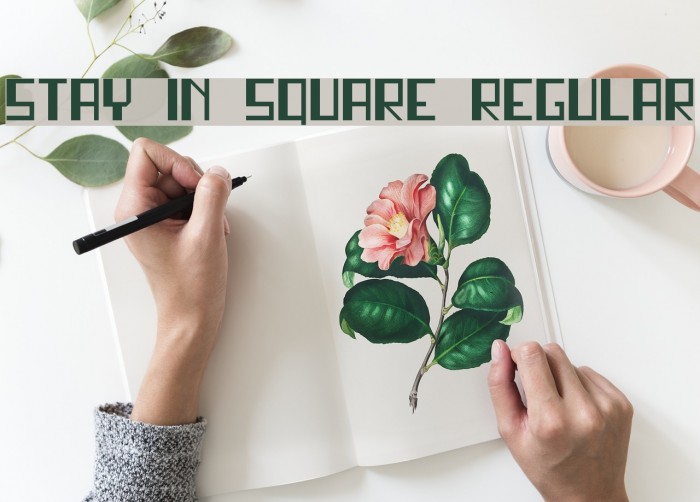 stay in square Regular Font examples