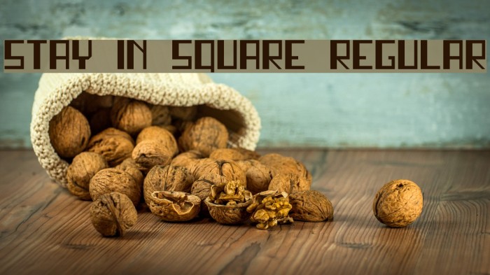 stay in square Regular Font examples