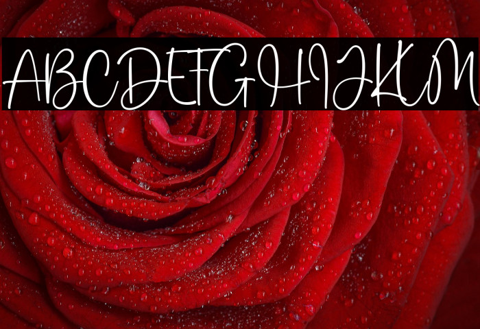 stay winter Example 2