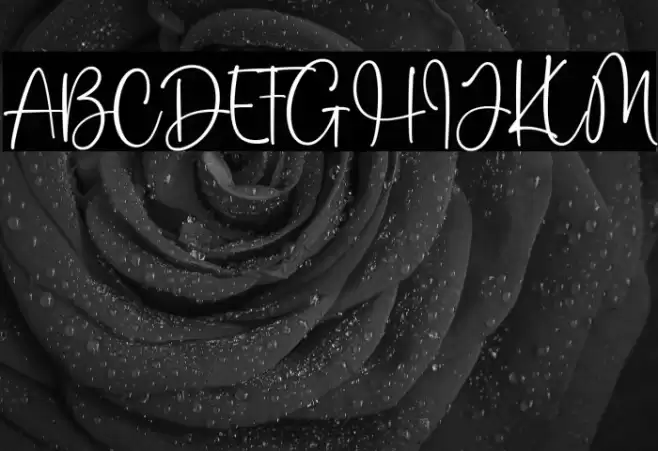 stay winter Font examples