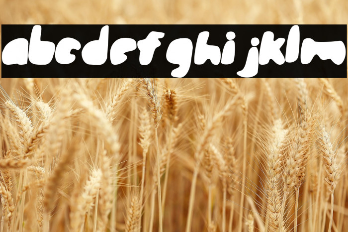 steamroller Example 1