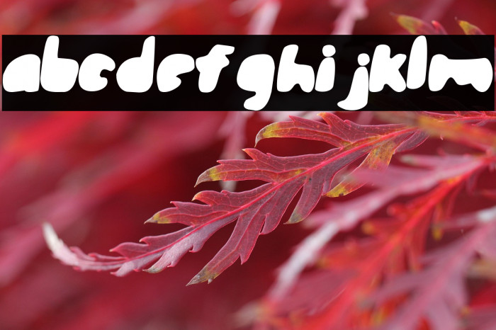 steamroller Example 2