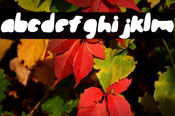 steamroller Example 3