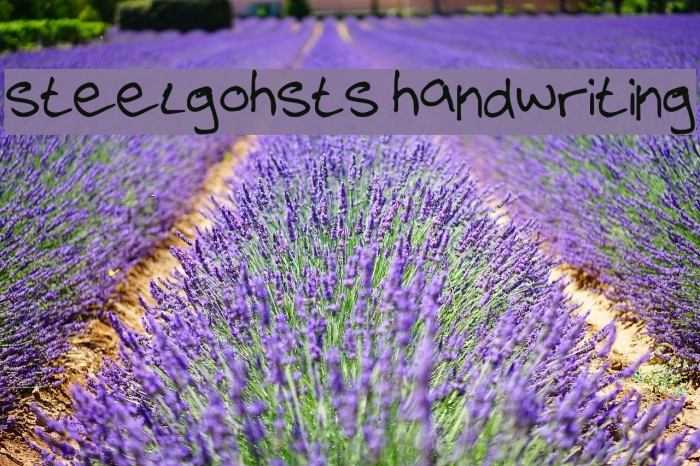 steelgohsts handwriting Font examples