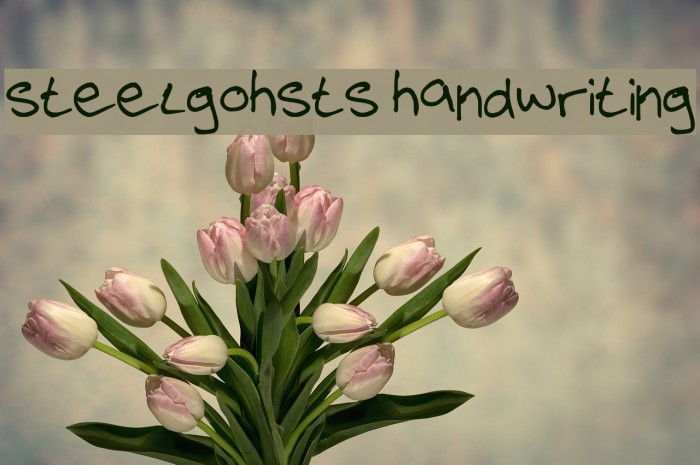 steelgohsts handwriting Font examples