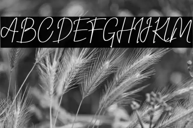 steelysticoPERSONALUSEONLY-Rg Font examples