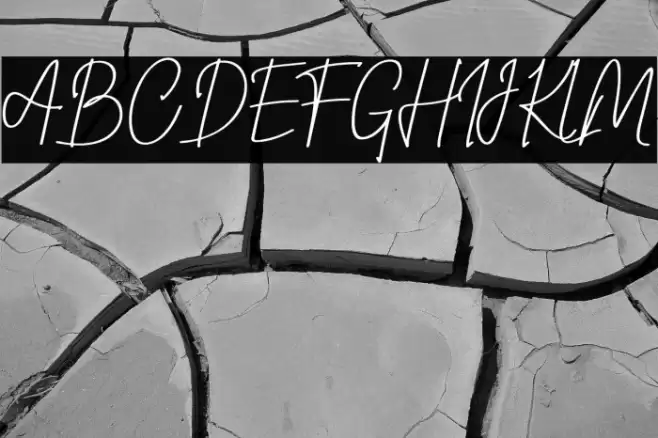 steelysticoPERSONALUSEONLY-Rg Font examples