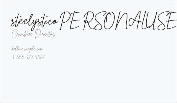 steelysticoPERSONALUSEONLY-Rg Business Card