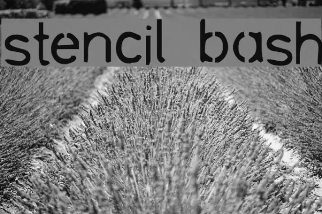 stencil bash Font examples