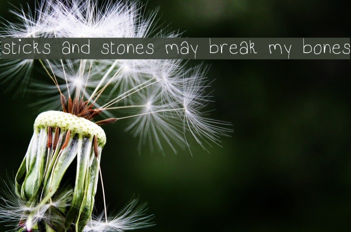 sticks and stones may break my bones Example 2