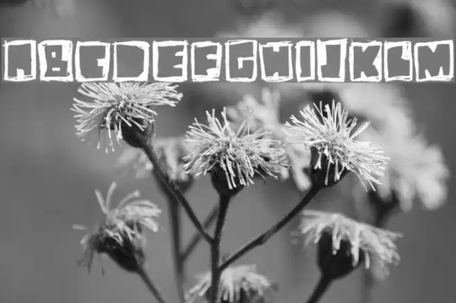 stiff neck Font examples