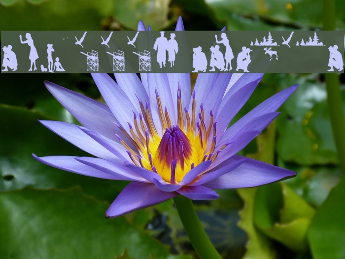 stillframes Example 1