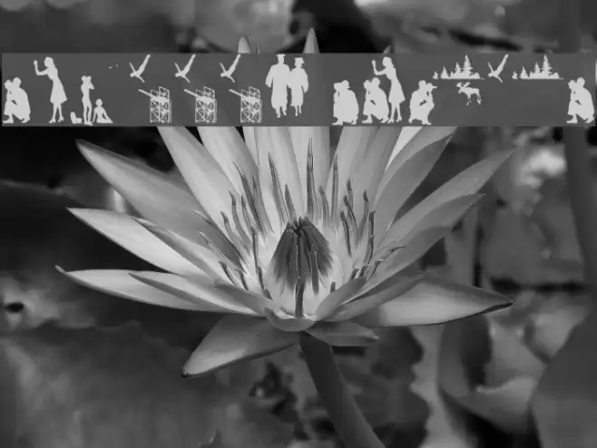 stillframes Font examples