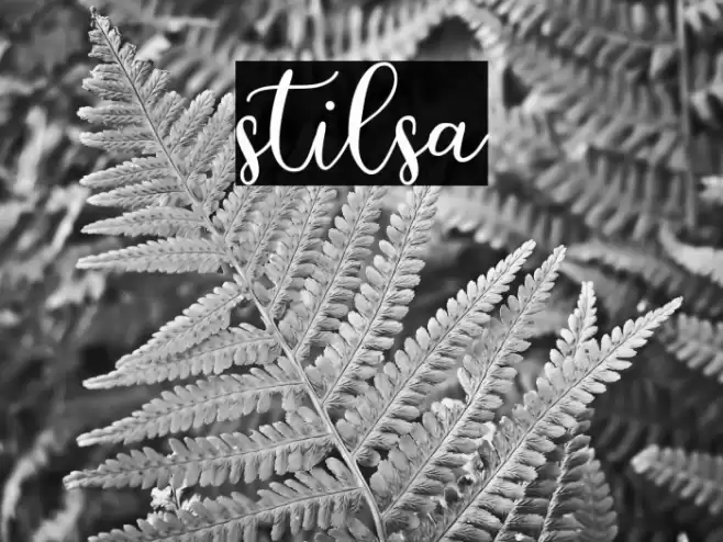 stilsa Font examples