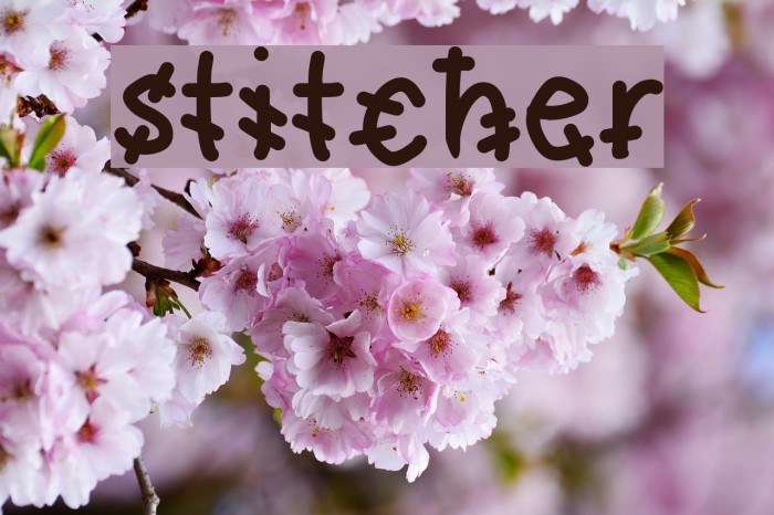 stitcher Font examples