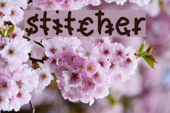 stitcher Example 1