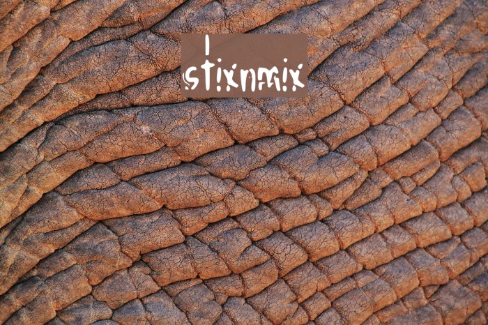 stixnmix Font examples