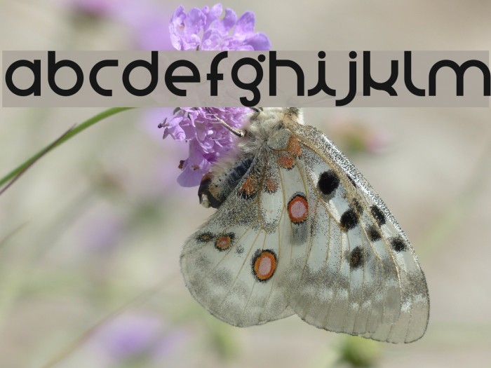 stnovasans Example 2