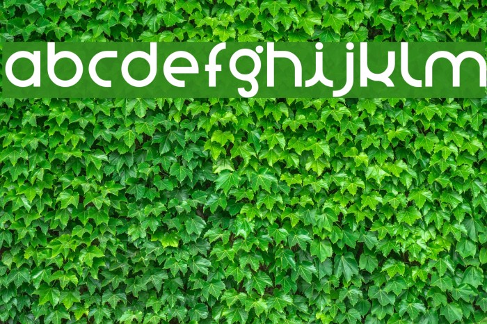 stnovasans Example 3