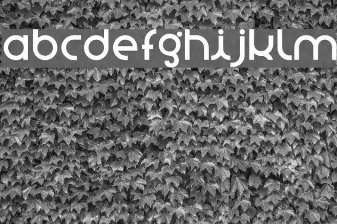 stnovasans Font examples