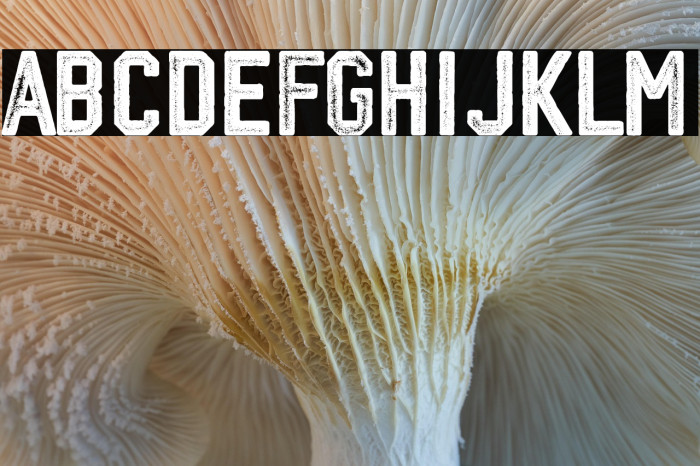 stone college 1936 Example 3