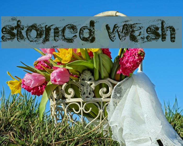 stoned wash फ़ॉन्ट examples