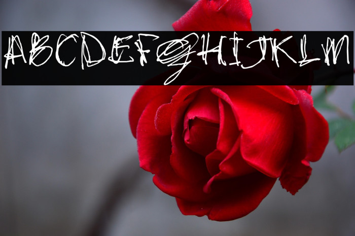 stonehandSaul_TRIAL Example 1