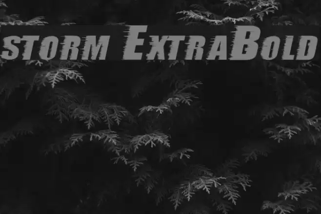 storm ExtraBold Font examples