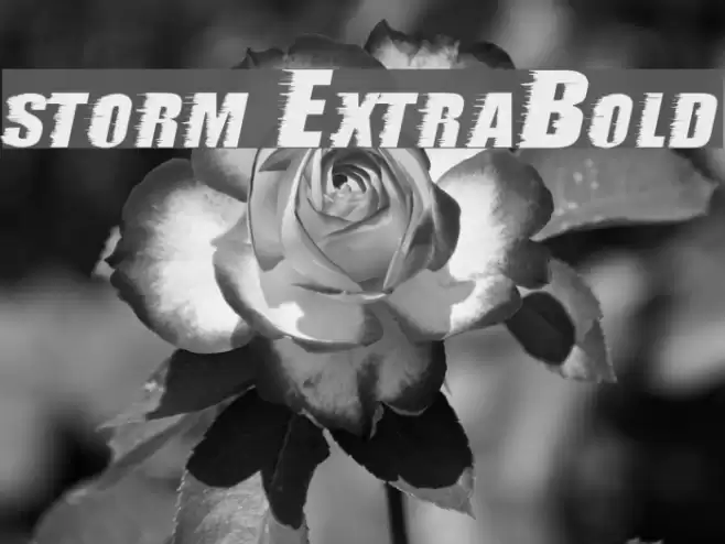 storm ExtraBold Font examples