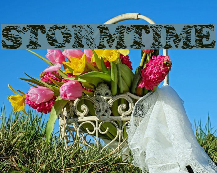stormtime Font examples