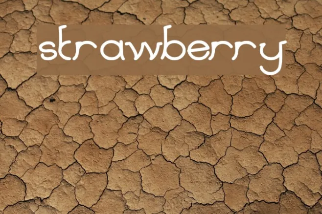 strawberry Example 1