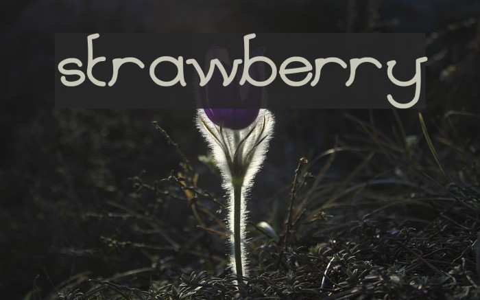 strawberry Font examples