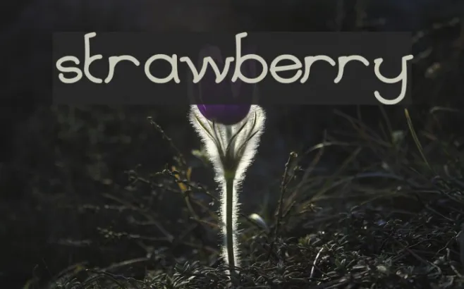 strawberry Example 2