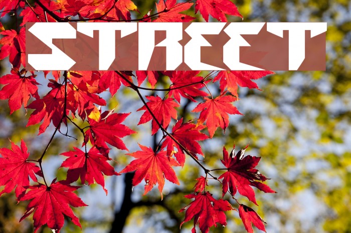 street Font examples