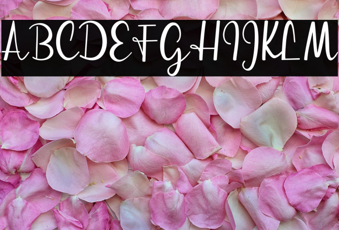 streetlightdemoversion-script Example 2