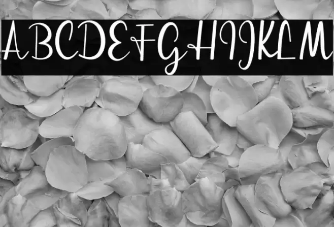 streetlightdemoversion-script Font examples