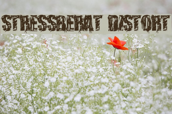 stressberat distort Example 1