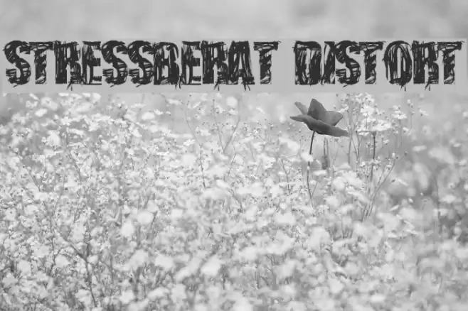 stressberat distort Font examples