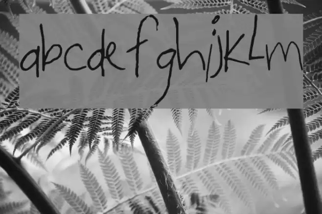 stringbean Font examples