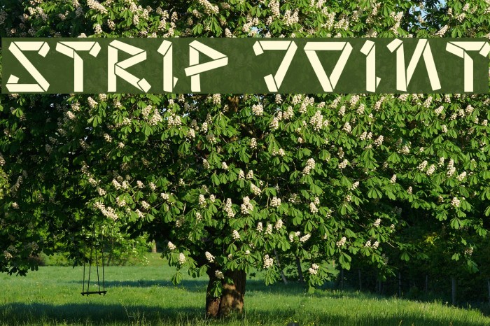 strip joint Font examples