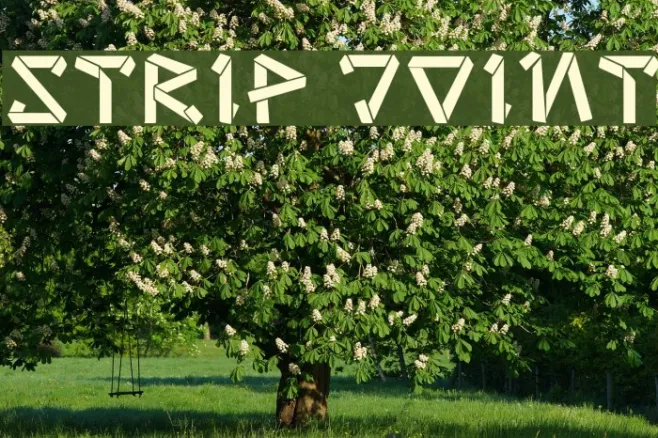 strip joint Example 2