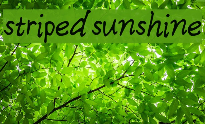 stripedsunshine Font examples