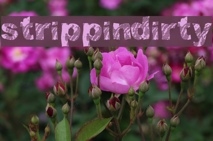 strippindirty Font examples