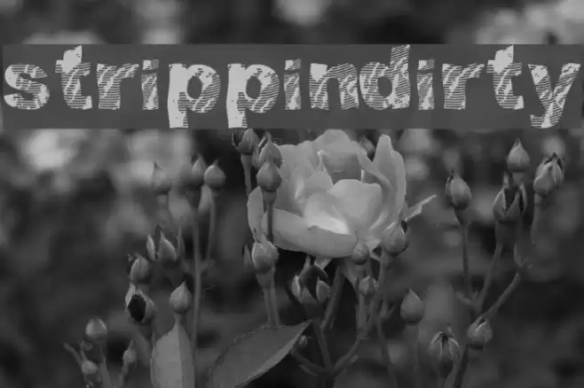 strippindirty Font examples