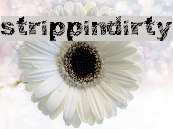 strippindirty Font examples