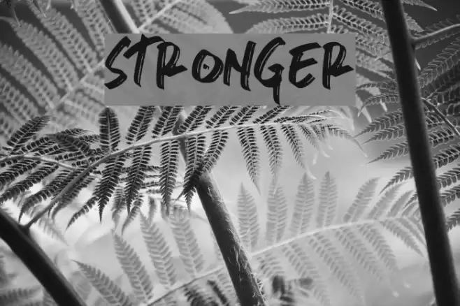 stronger Font examples