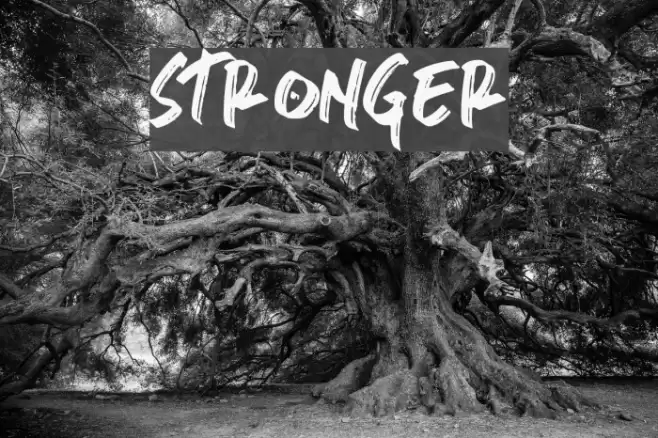 stronger Font examples