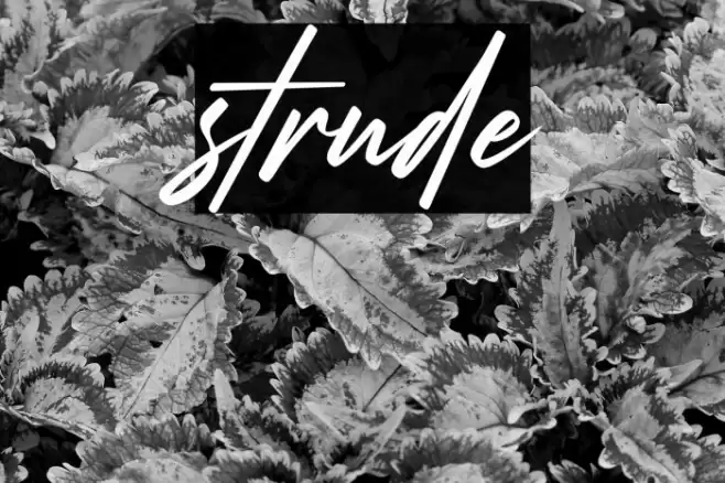 strude Font examples